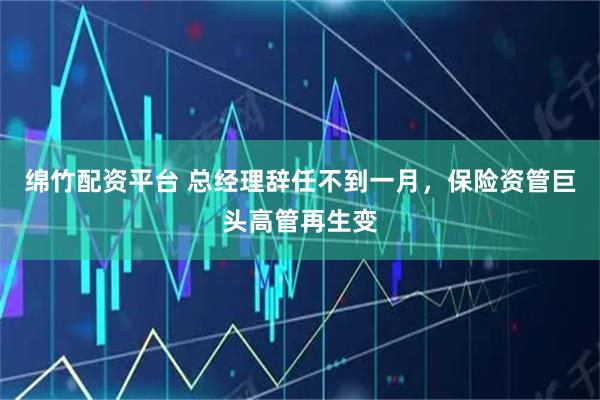 绵竹配资平台 总经理辞任不到一月，保险资管巨头高管再生变