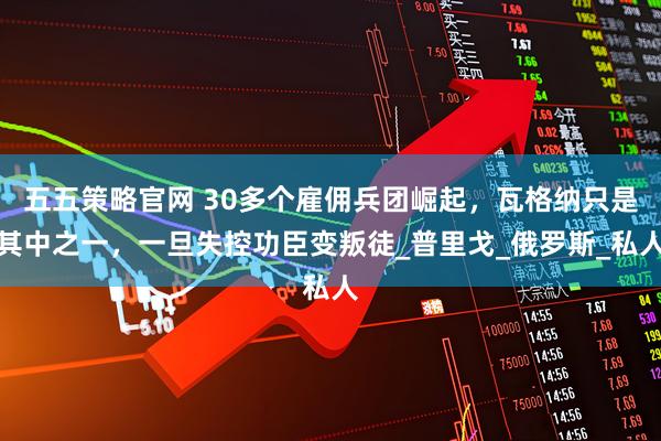 五五策略官网 30多个雇佣兵团崛起，瓦格纳只是其中之一，一旦失控功臣变叛徒_普里戈_俄罗斯_私人