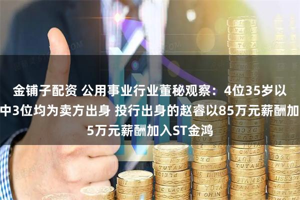 金铺子配资 公用事业行业董秘观察：4位35岁以下的董秘中3位均为卖方出身 投行出身的赵睿以85万元薪酬加入ST金鸿