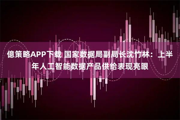 億策略APP下载 国家数据局副局长沈竹林：上半年人工智能数据产品供给表现亮眼