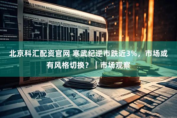 北京科汇配资官网 寒武纪逆市跌近3%，市场或有风格切换？｜市场观察